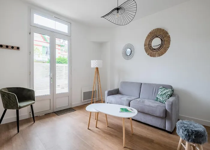 A Bright Cocoon For A Pleasant In ארסשון